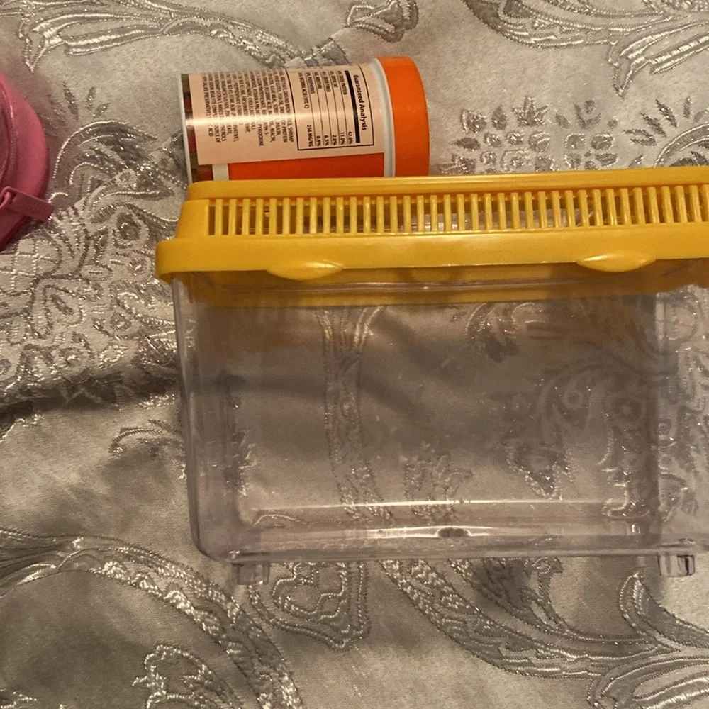 Small fish traveling container